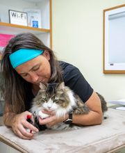 Animal Care Hospital of Morris Inc image 15
