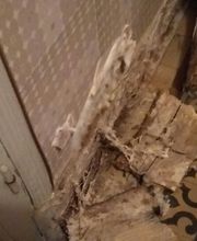 P2H Préservation Hygiène Habitat image 6