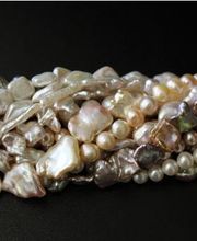 Theiler Markus Bild 2