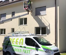Green Pest Bild 2