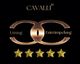 Cavalli Entrümpelung