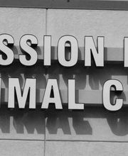 Mission Road Animal Clinic image 12