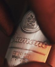 Camenzind 2-Radsport AG Bild 2