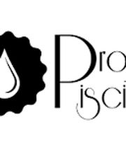 Mon Projet Piscine image 2