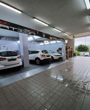 Gallery Cliente