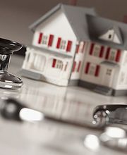 Parrottino Armando image 1