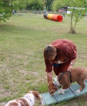 Hundeschule Mosig Bild 6