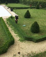 L'Arbre En Bois image 1