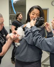 Oath Animal Hospital image 7