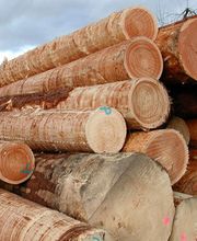 HedingerHolz AG Bild 9