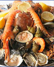 Padiou Vincent image 1