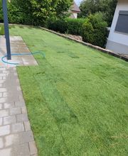 Gartenbau Hoch3 Bild 7