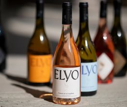 Coquillade Provence image 4