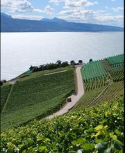 Chappuis Christophe Bild 1