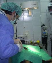veterinario_yuncos_cirugia.jpg
