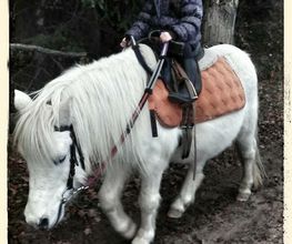 Centre Equestre de Mosnet image 6