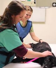 Carbon County Veterinary Hospital image 7