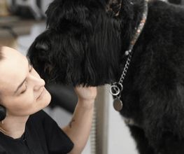 Doggrooming Ramstein Bild 1