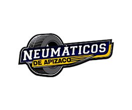 Michelin Car Service Neumáticos de Apizaco Matriz imagen 3
