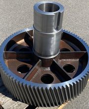 Maresse Joël image 6