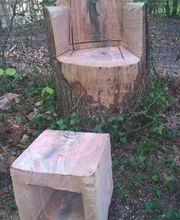 Arbor Environnement image 5