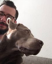 Hundeschule Wilde Hilde, Berlin Bild 2
