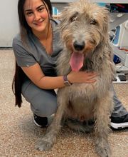 Paumanok Veterinary Hospital image 15