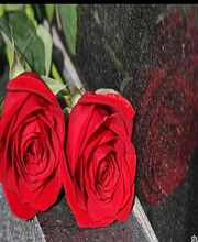 Pompes Funèbres Salmeron image 2