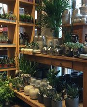 Blumen Interfleur Floristik & Wohnaccessoires Bild 3