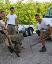 Krokus Gartenpflege GmbH Bild 7