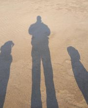 Binôme A 3 Education Canine image 8