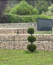 Prestige Concept 42 image 11