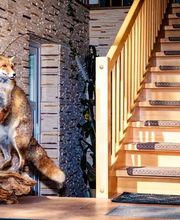 DELE Schädlingsbekämpfung GmbH Bild 11