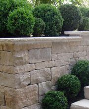 Daniel Oesch Gartenbau AG Bild 3