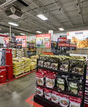 Product Shot: Chicken/Animal Feed