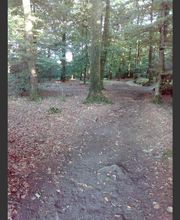 Centre Equestre De Mi-Forêt image 2