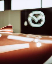 Typische Antennen-(Hai)Flosse von Mazda II