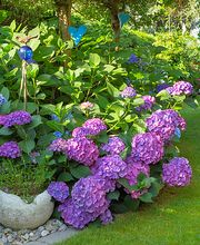 Sonderegger Gartenbau GmbH Bild 3