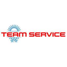 Team Service srl logo