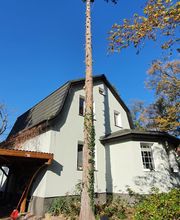 Der Gartenpionier Bild 18