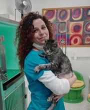 Centro Veterinario Maccauro immagine 7