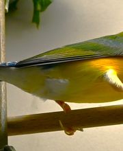 DAS FUTTERHAUS - Bremen-Weserpark Bild 8