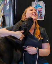 Dublin Veterinary Hospital image 16