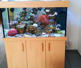 Holzbearbeitung Lettmann Bild 11
