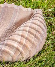 Steinmetzwerkstatt / Bildhauer Bruno Johannes Harich GmbH Siegburg