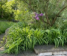 Naturgarten Werk Marc Styger Bild 4