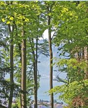 Fondation de Nant Bild 2