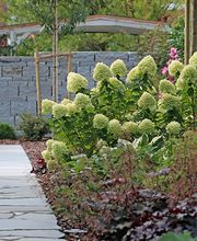 Glende Gartenbau GmbH Inh. Gabriela & Kevin Riege Bild 4