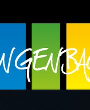 Ringendach Eric SARL image 6