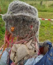 Punaises Nuisibles et Solutions image 12